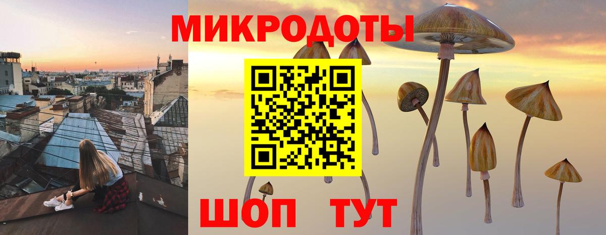 как найти наркотики  Вход с VPN  Егорьевск  Галлюциногенные грибы Psilocybe 